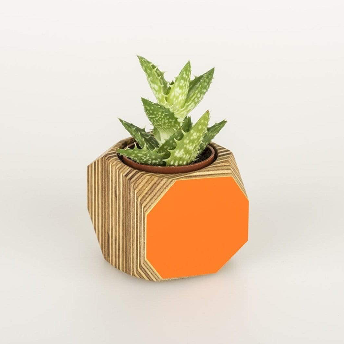 Priormade Mini Orange Wood Vessel Pot