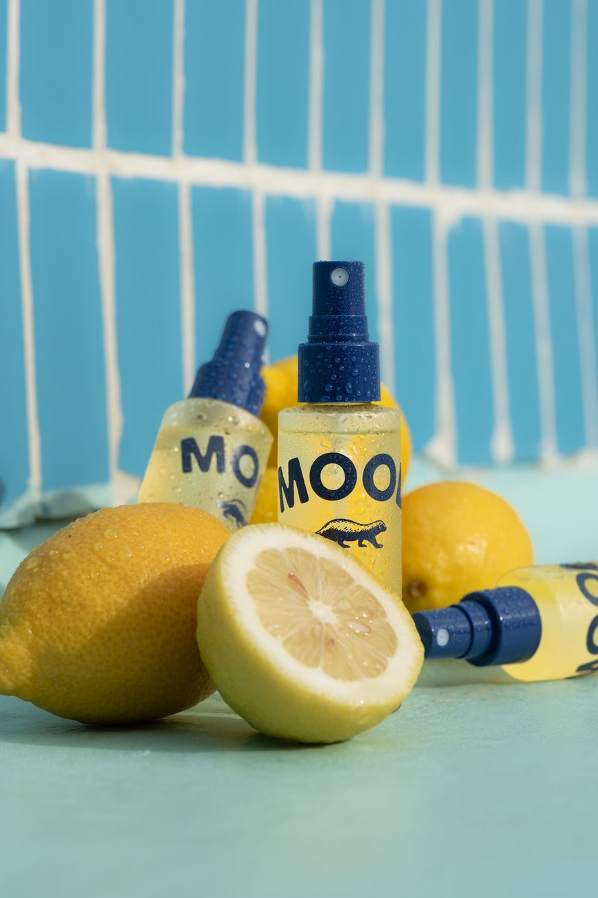 Collins Mini Travel Namhae Yuja Mood Water