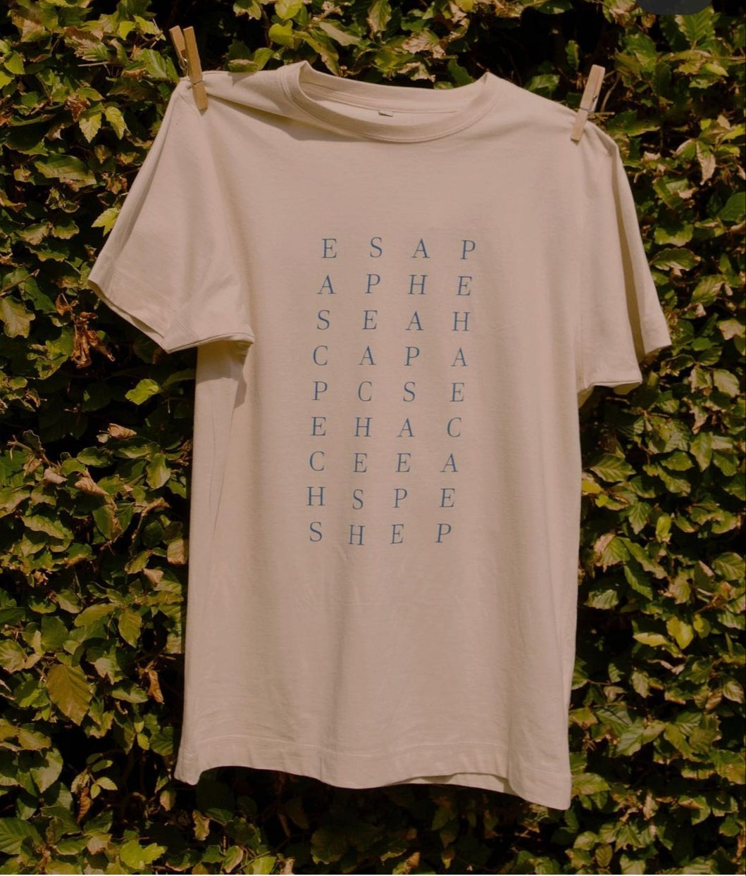Pair Of Peaches Alpha Wordsearch Tee