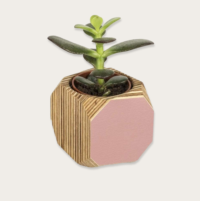 Priormade Mini Pink Wood Vessel Pot