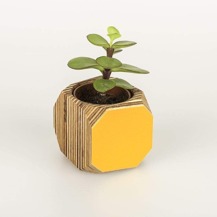 Priormade Mini Yellow Wood Vessel Pot