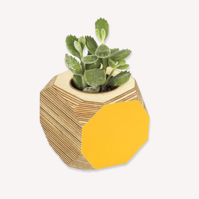 Priormade Large Yellow Wood Vessel Pot